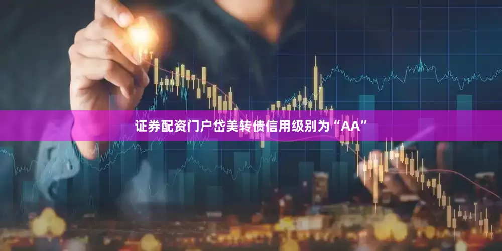 证券配资门户岱美转债信用级别为“AA”