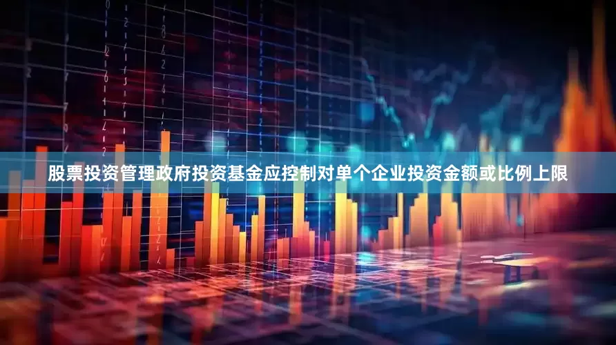 股票投资管理政府投资基金应控制对单个企业投资金额或比例上限