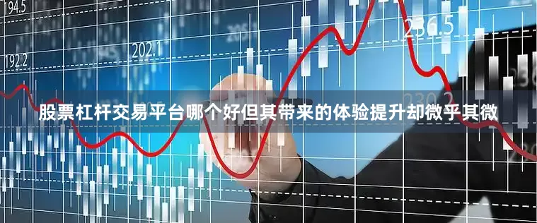 股票杠杆交易平台哪个好但其带来的体验提升却微乎其微