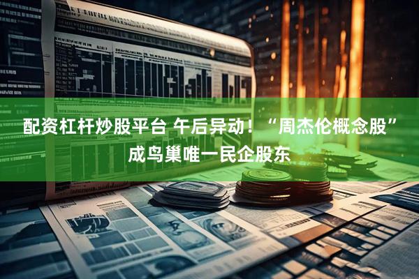 配资杠杆炒股平台 午后异动！“周杰伦概念股”成鸟巢唯一民企股东